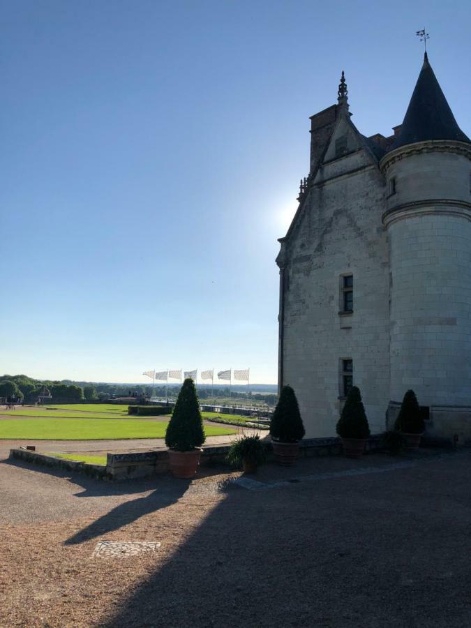 Ferienwohnung Le Clos St Raphael Amboise Exterior foto